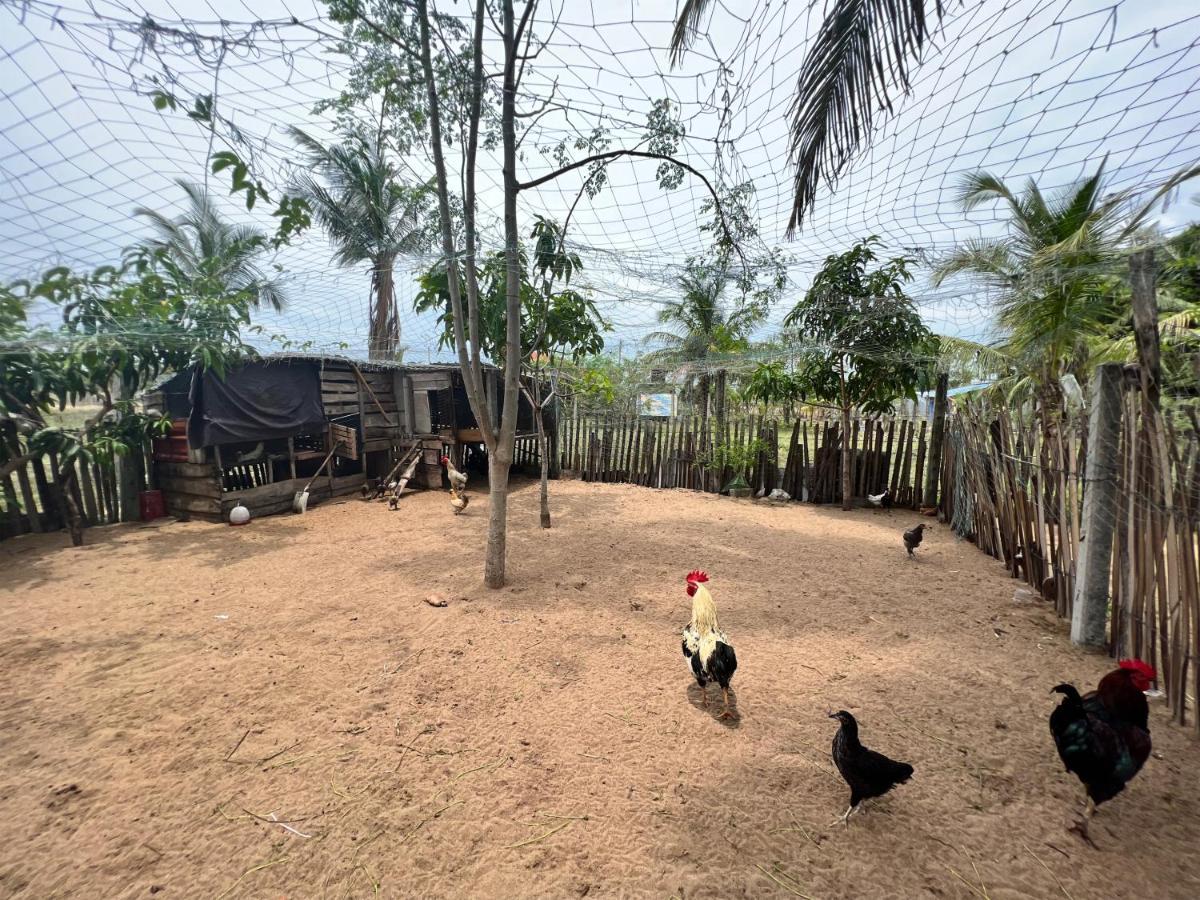 Aiden Homestay Passikudah Экстерьер фото